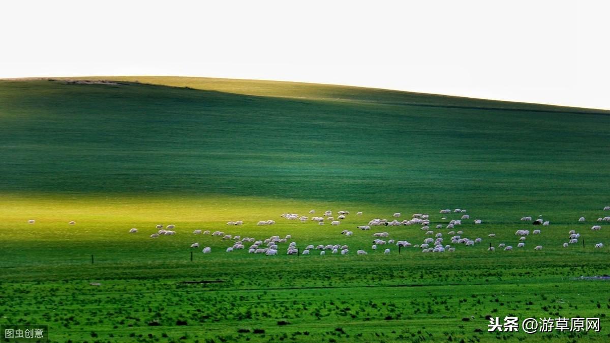 锡盟至北京铁路建设最新进展揭秘,进度详解与跟进方法全攻略