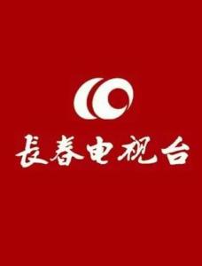 长春电视台揭秘,巷弄深处的独特风味——一家街角巷尾的特色小店