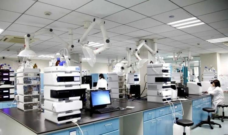 多维度视角下的上市药企排名深度探析