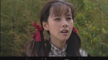 闫淑琴，演艺之路的闪耀之星