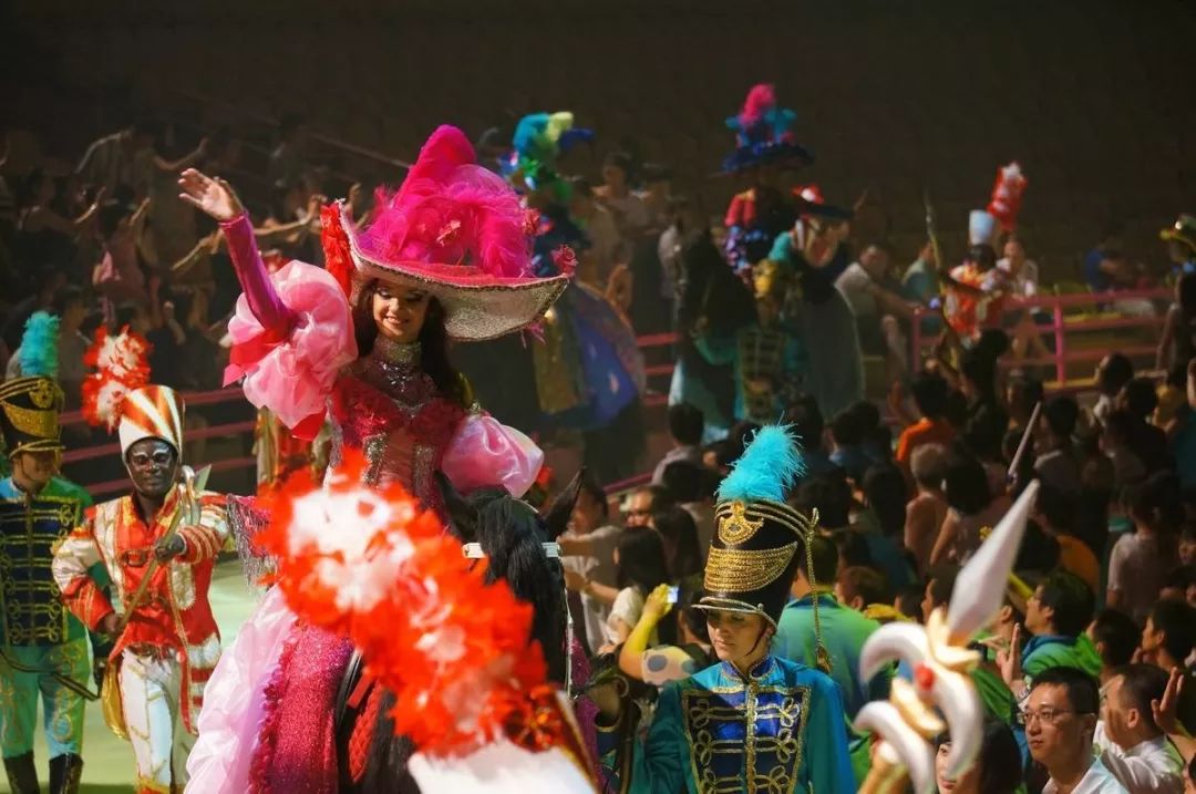 最新马戏团演出，观赏步骤指南