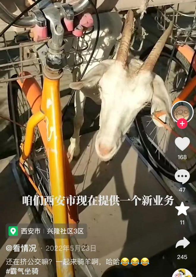 西安兴隆社区最新动态揭秘，最新进展与资讯更新