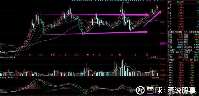 关于股票行情的探讨，聚焦600062股票动态分析