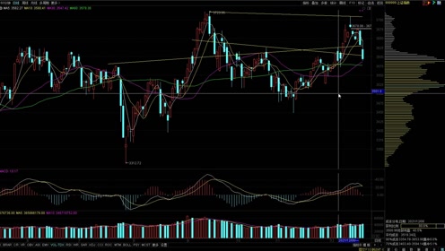 股票弹与友情的小奇迹，股市中的奇迹与友情的交织
