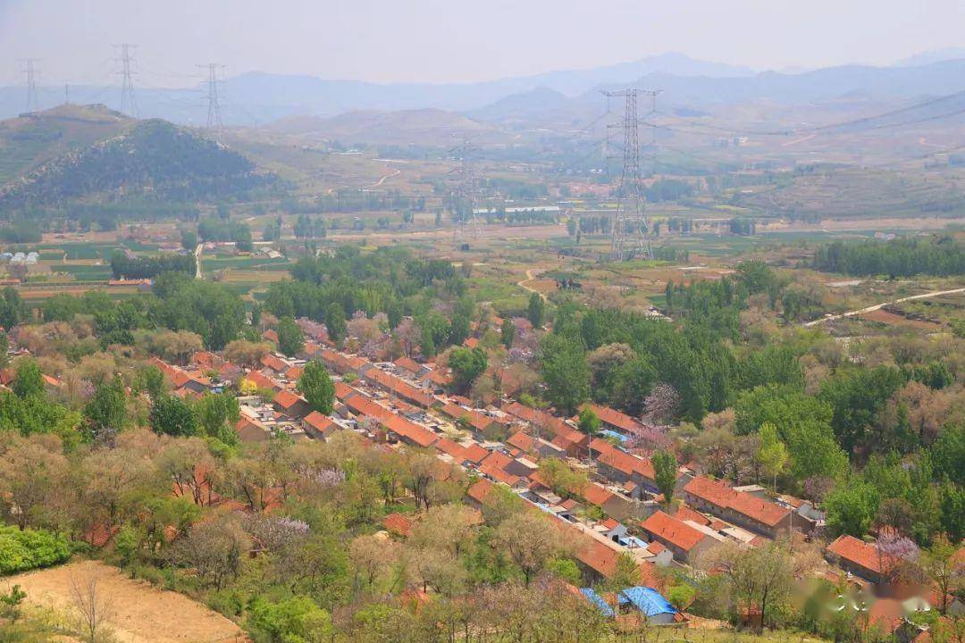 临朐窦最新动态，今日新发现与探索