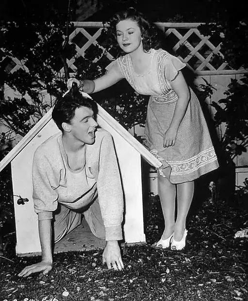 电视剧闪婚在线观看指南，初学者与进阶用户适用