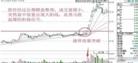 揭秘股票涨跌背后的操盘手与影响因素，谁在掌控股市波动？