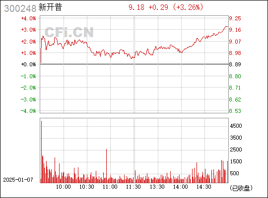 深度解析，300248股票行情——背景、重要事件与地位探究