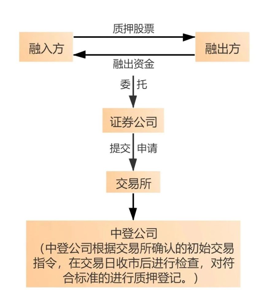 股票质押登记的背景、历程与地位解析