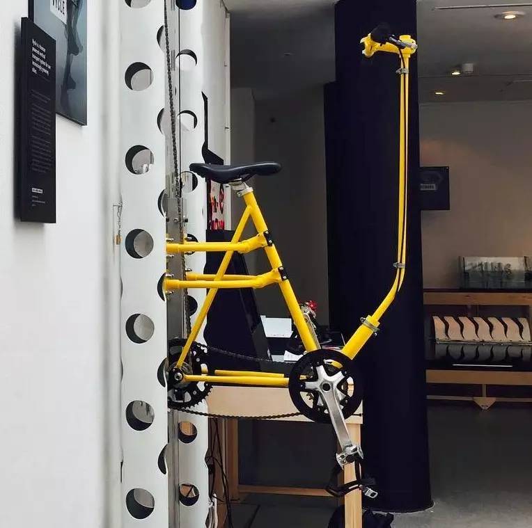 梯子资讯速递，心灵与自然的奇妙之旅