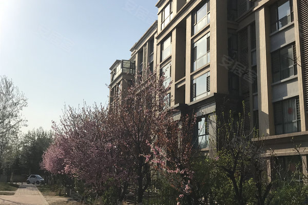 潍坊大观天下最新房价信息，变化中的自信，学习与未来共铸梦想家园