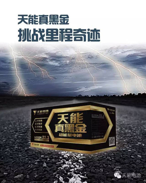 天能真黑金电池价格详解，全面解析电池价格与特性
