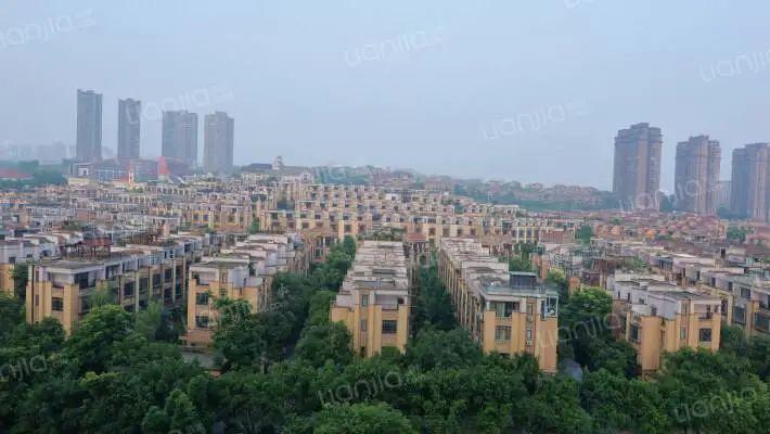 探寻珍稀海洋宝石珊瑚的价值之旅,珊瑚行情深度解析