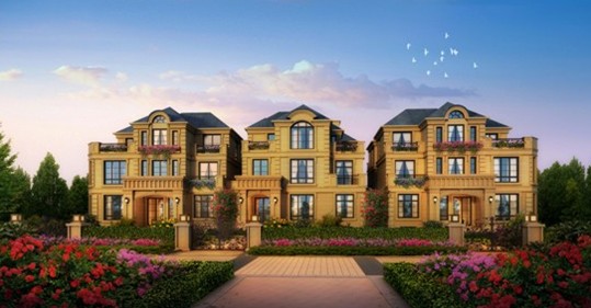 探寻花屿城中的繁花盛景资讯