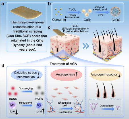 肌无力新疗法研究进展——科技引领治疗突破，开启新纪元治疗时代。