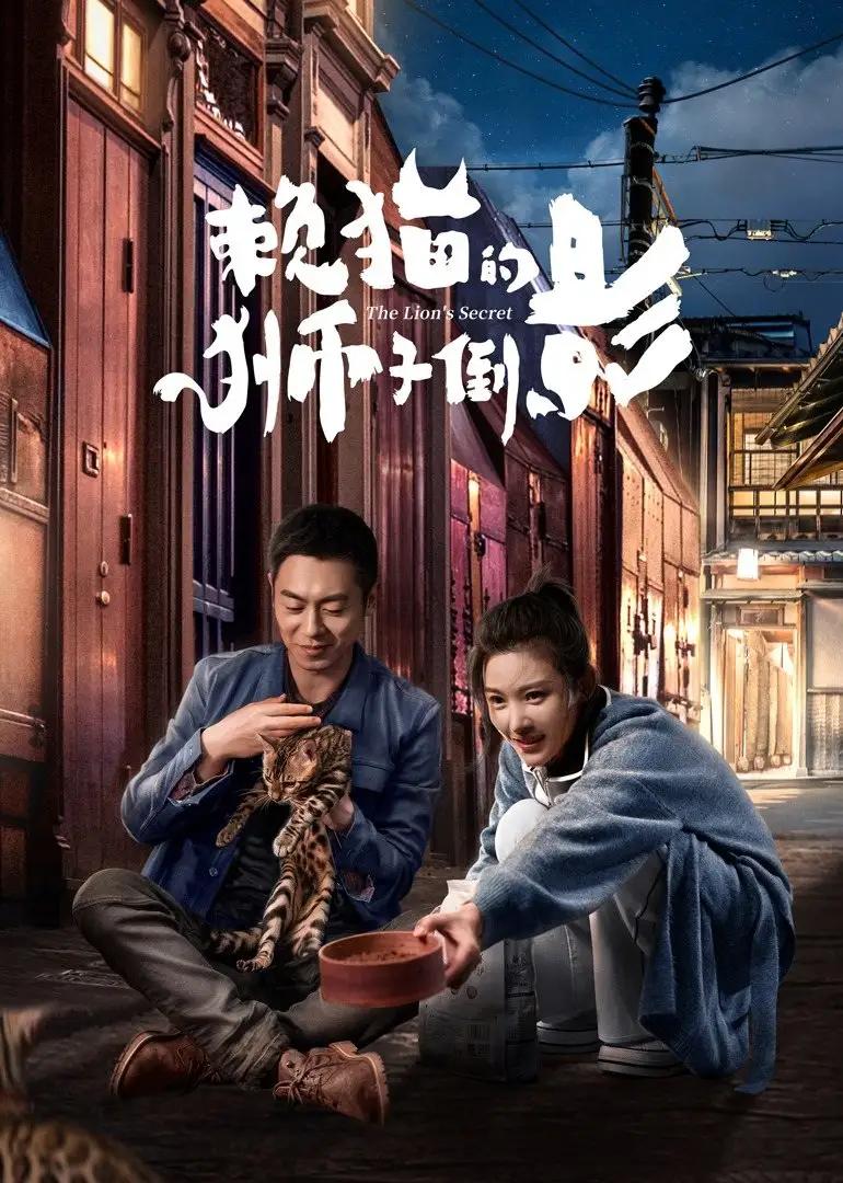 不容错过的影视盛宴，最新热门电视剧大全