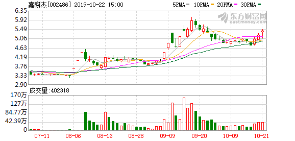 嘉麟杰股票,投资新焦点的魅力所在