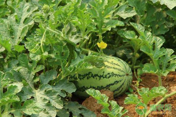 物联网设备研发 第281页