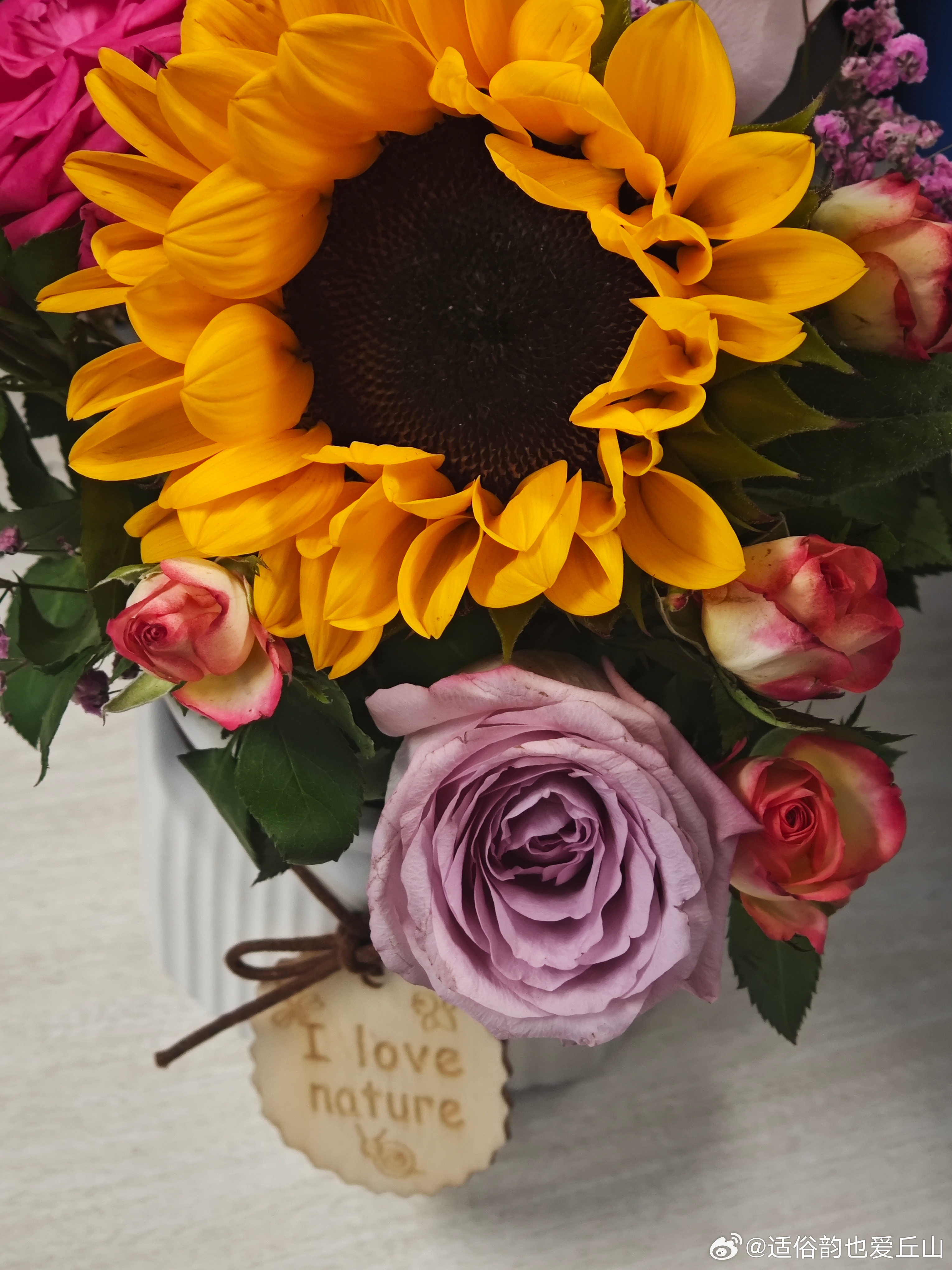 微博最新桌面版，用户体验与功能革新的深度探讨