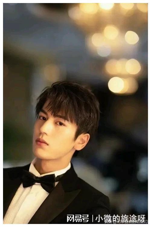 罗姓男星，星光璀璨的魅力传奇