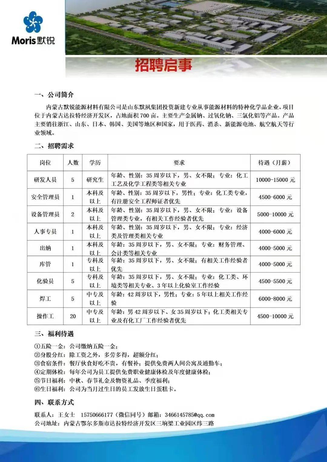 新疆饲料企业最新招聘启事，探寻自然美景与内心宁静之旅