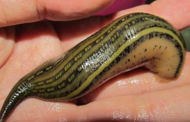 物联网设备研发 第271页