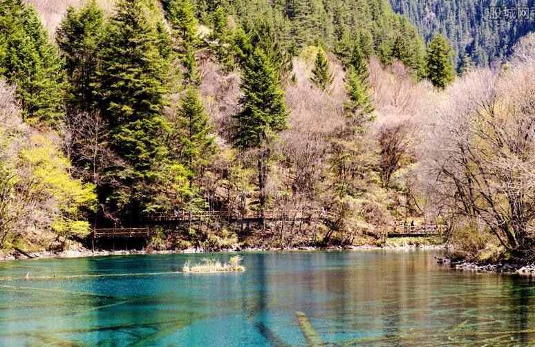 九寨沟最新动态，生态恢复与旅游发展的平衡观点探讨