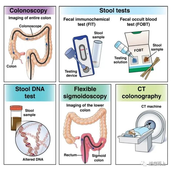 肠镜价格表详解，肠道健康检查费用及细节全解析
