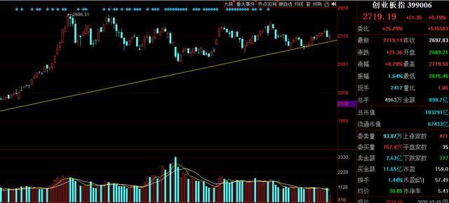 股市最新动态，心灵与自然的探索之旅