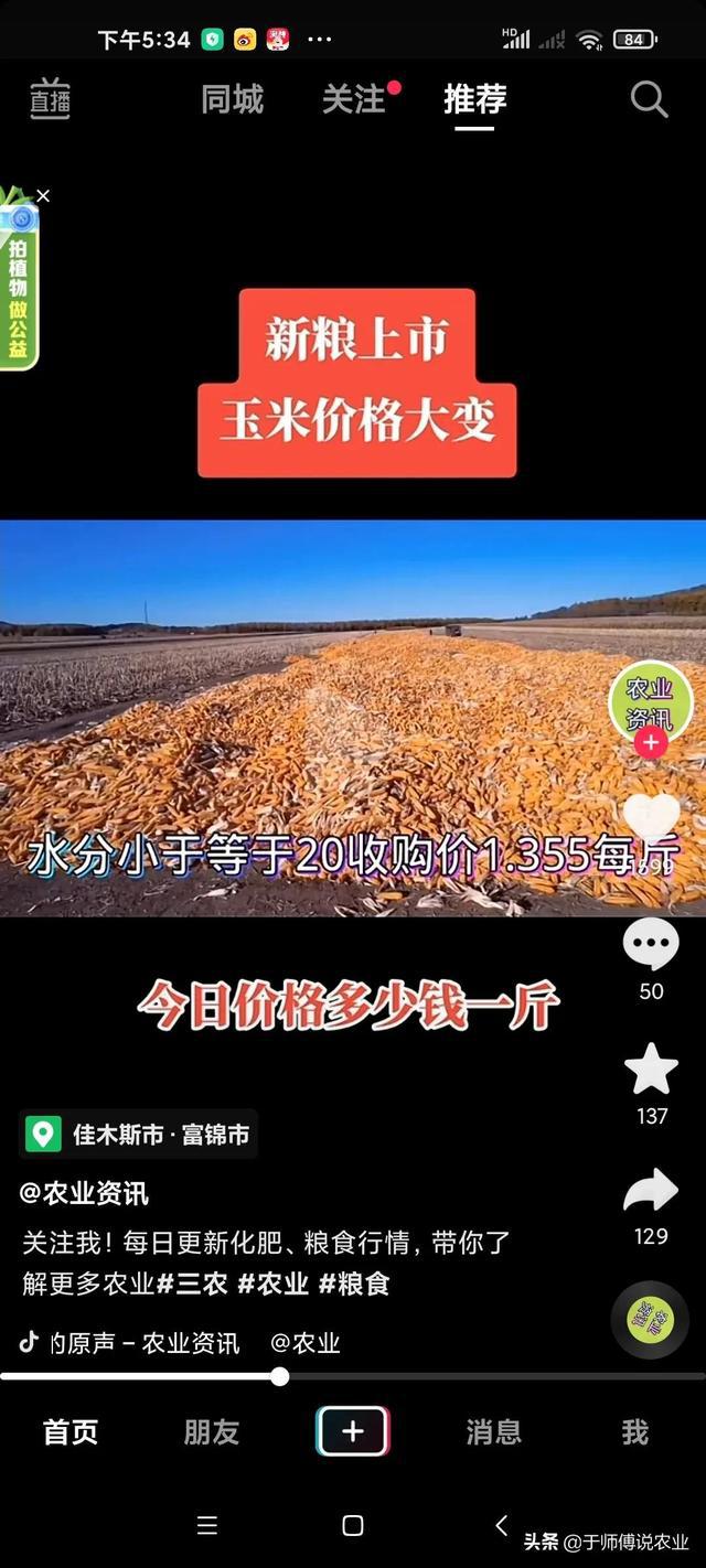 新乡玉米价格实时动态更新🌽📈