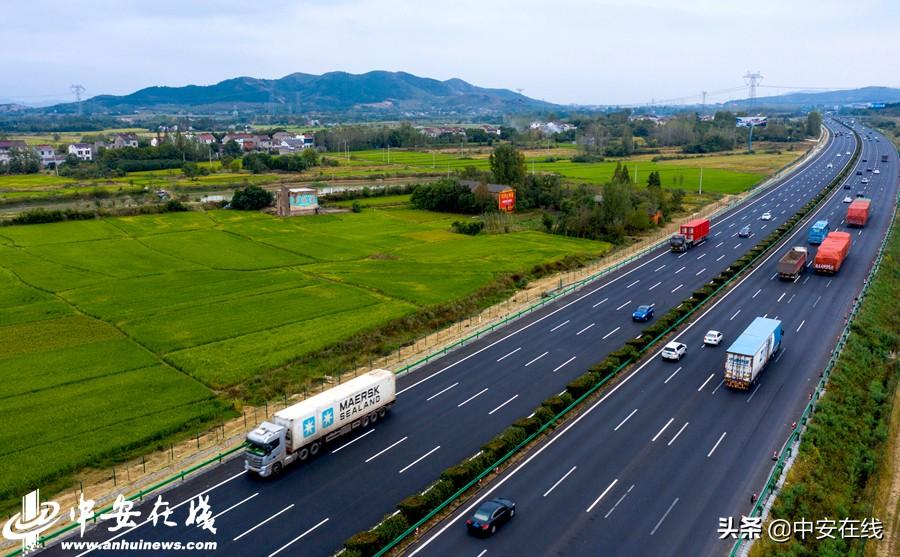 庐江新闻最新资讯，小巷深处的独特风味