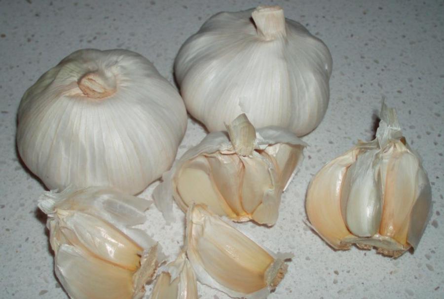 邳州大蒜最新行情动态更新！