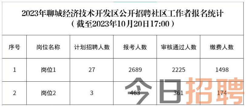 聊城开发区最新独特招聘信息,隐藏在小巷中的宝藏职位大揭秘