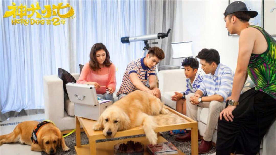 神犬小七第二季演员表，励志、变化与自信的精彩故事篇章