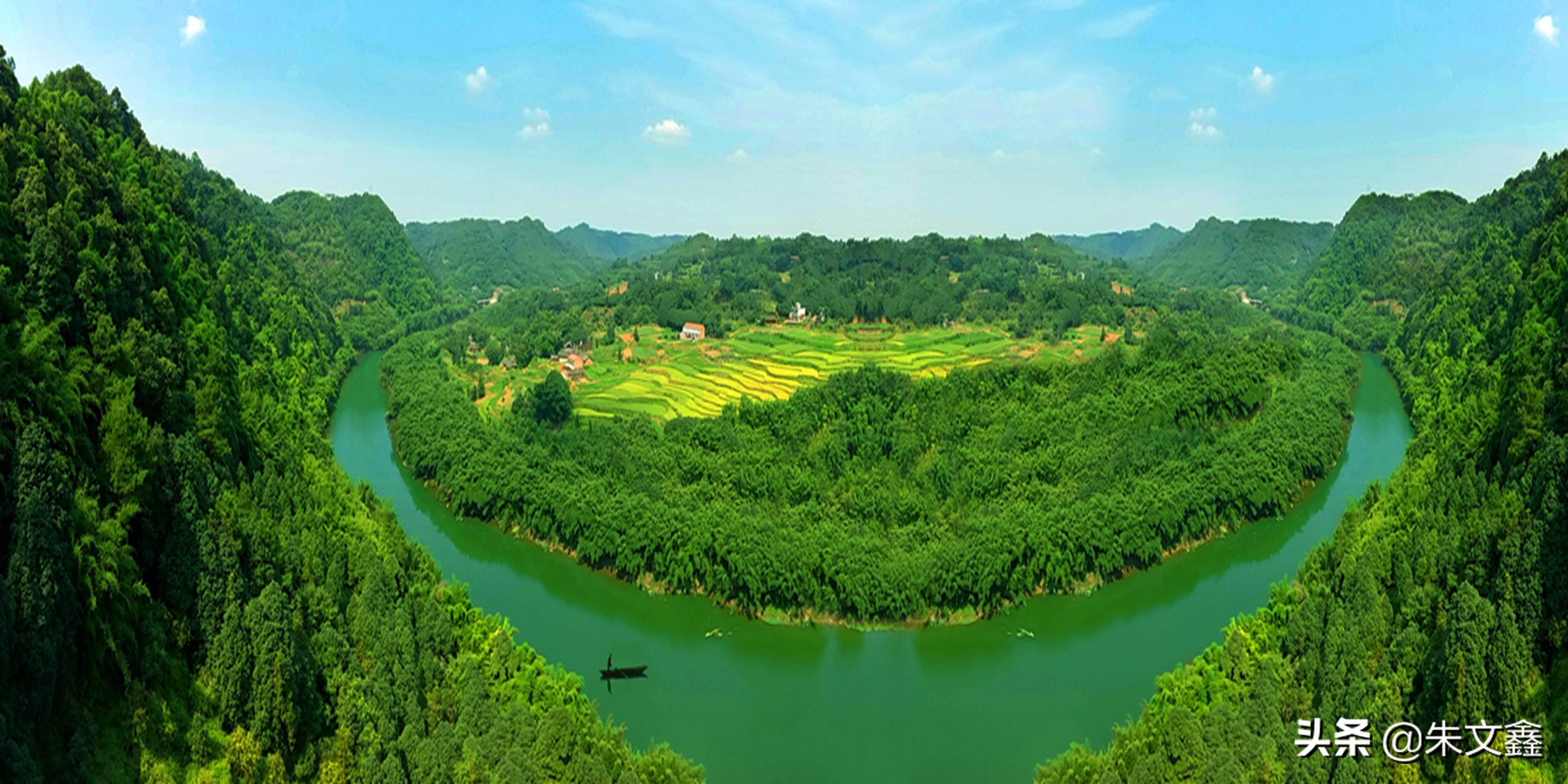 樟油提炼二手设备信息概览