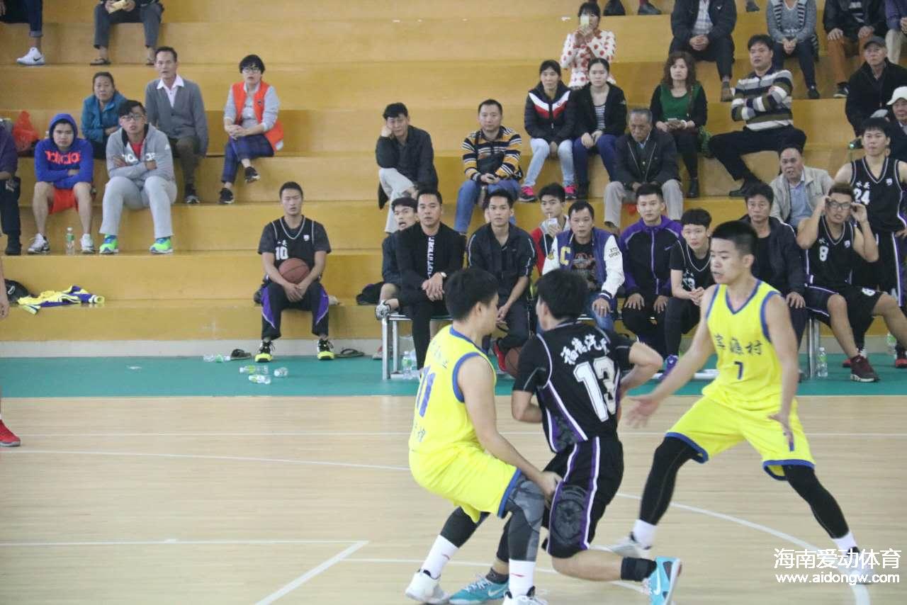 篮球直播与回放，心灵与自然的奇妙旅程回顾