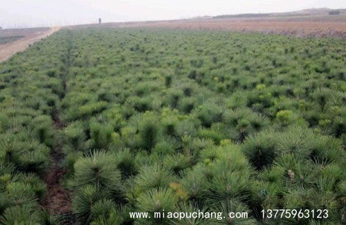 环保设备 第241页