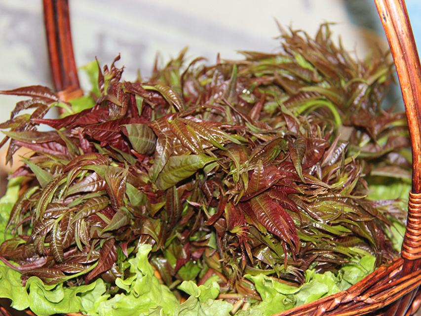 土鸡蛋市场行情分析