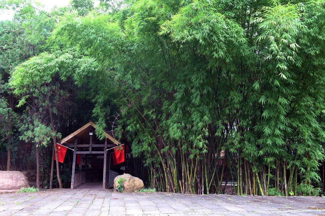 森品融上市之路，背景、重要事件、地位探索