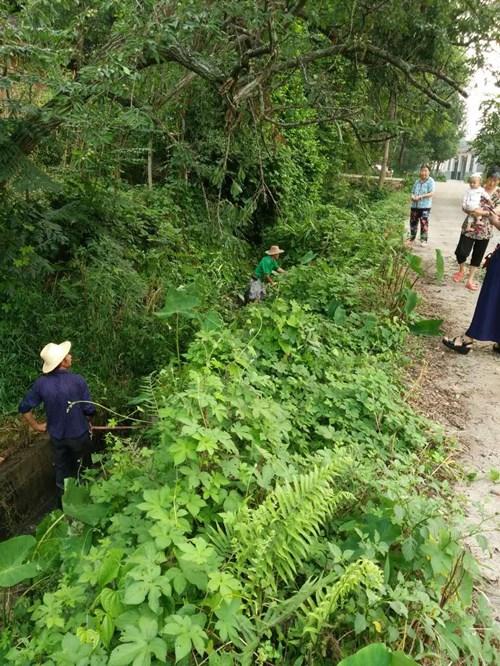 仁寿新闻最新动态速递，仁寿最新资讯一览📣🌱