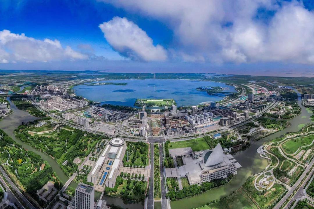 中曼石油最新动态，小巷深处的石油之花与独特小店探秘