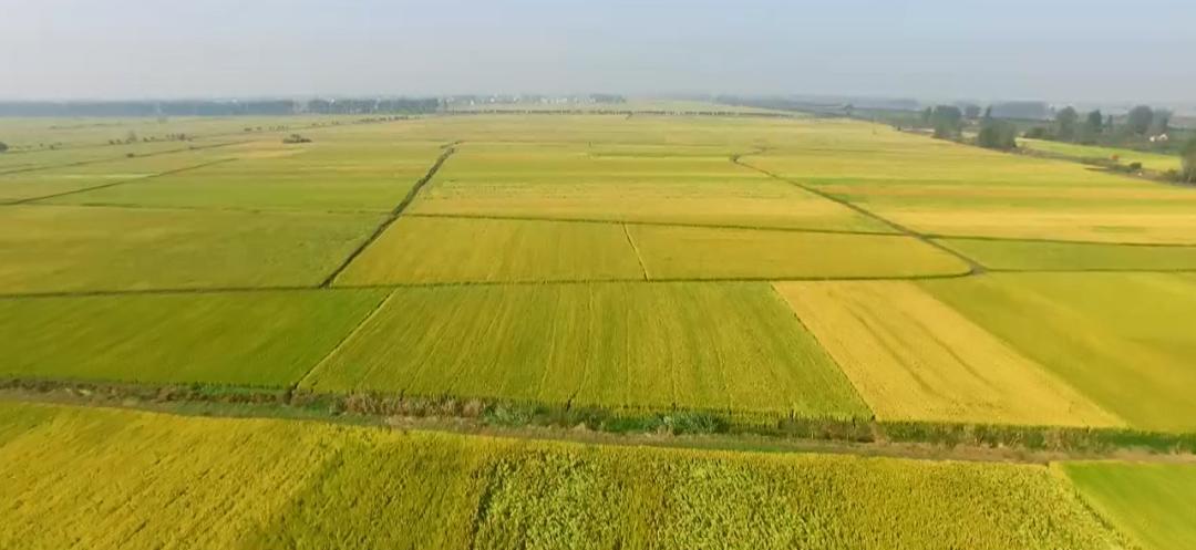 拍宝2025，引领科技潮流，体验未来生活的最新节目