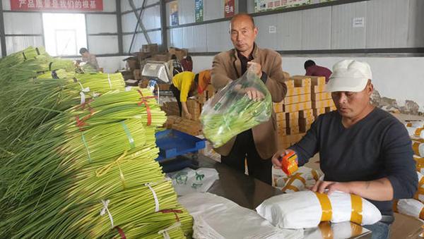 杞县苏木大蒜最新行情揭秘，小巷深处的蒜香宝藏