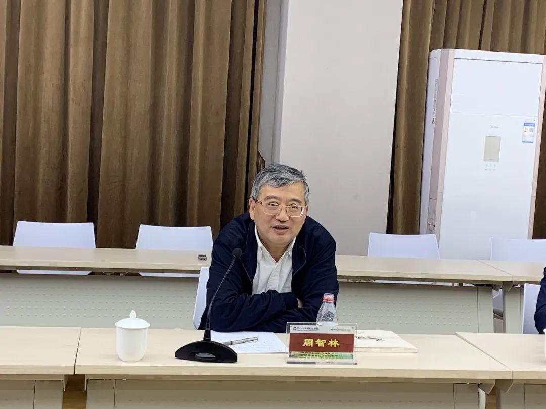 杭州巷弄深处的惊喜,特色小店揭秘最新动态