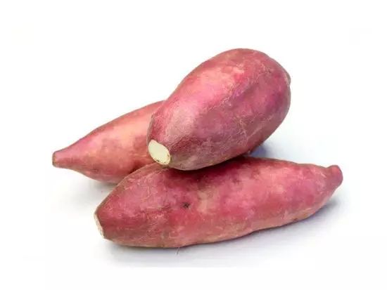 地瓜情缘,最新价格与家的温馨日常