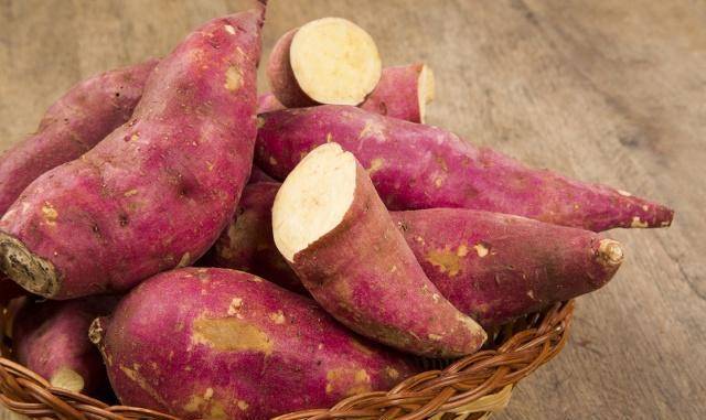 地瓜情缘,最新价格与家的温馨日常