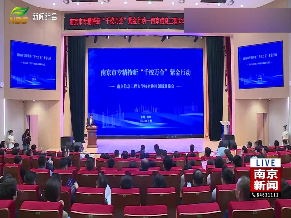 南京最新多元视角新闻报道,解读城市动态