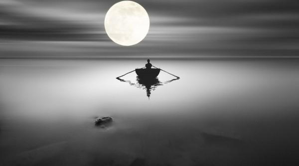 芝麻最新行情,背景、动态与地位的全面解析