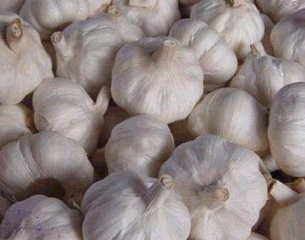 最新蒜价格揭秘与行情分析🌱