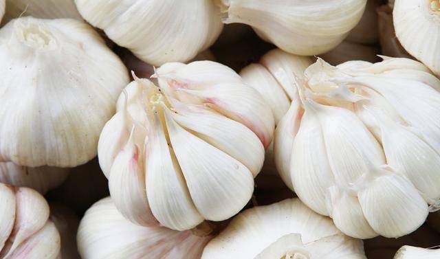 最新蒜价格揭秘与行情分析🌱